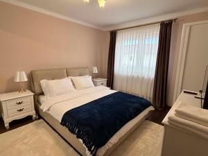 a bedroom with a large bed and a window at Casa Carolina in Alba Iulia