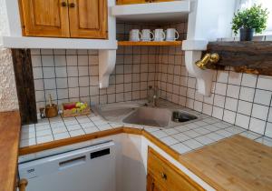 a kitchen with a sink and a tiled wall at Hiša odprtih vrat in Tolmin +23 photos