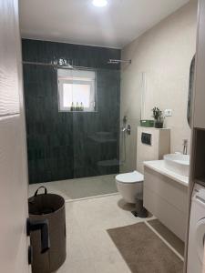 a bathroom with a shower and a toilet and a sink at Casa nel verde in Bar +11 photos