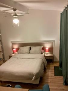 a bedroom with a large bed with two lamps at Chambre paisible in Albi
