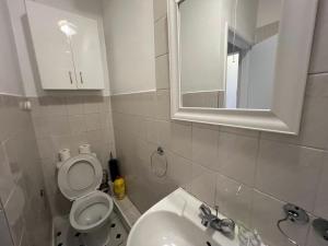 a bathroom with a toilet and a sink and a mirror at Cozy Spacious Flat in South Norwood