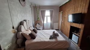 a bedroom with a bed with a fireplace and a television at "Chez Ba'Nus" in Blankenberge