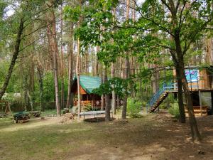 a tree house in the woods with a blue roof at Szumi szumi LAS in Joniec +8 photos