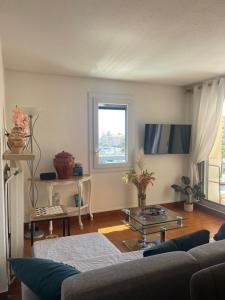 a living room with a couch and a tv at loft appartement in Cap d'Agde