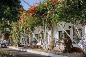 a row of trees with flowers on the side of a building at Nhat Quang Hotel in Bảo Lộc