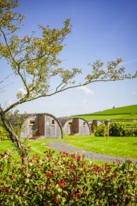a couple of buildings in a field with grass at Bluebell in Rhayader
