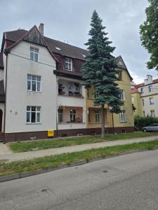 a building with a tree next to a street at Duplex U Marzeny in Ostróda