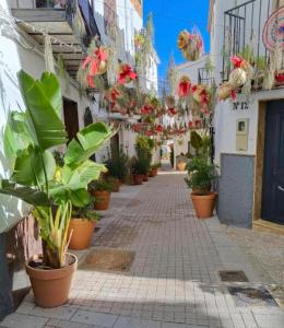 an alley with potted plants on a street at Poseidón in Quesada