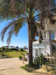 a palm tree in front of a building at Punta Encanto Posada Boutique in Miramar