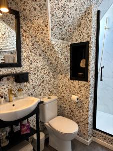 a bathroom with a toilet and a sink at L'échappée belle in Sixt-sur-Aff +30 photos