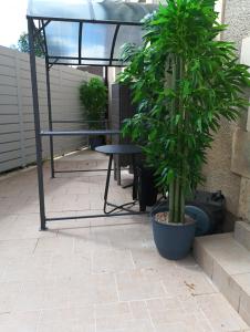 a patio with a table and a potted plant at Chambre pour 2, avec terrasse privée in Montgivray