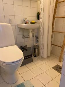 a bathroom with a toilet and a sink at SV Appartamenty in Horten +4 photos