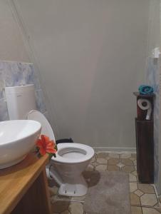 a bathroom with a white toilet and a sink at Fortunate Lodge, Restaurant & Bar in Lénakel