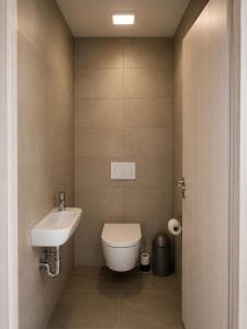 a small bathroom with a toilet and a sink at Apartmán PERLA 28 Říčky v Orlických horách in Říčky +4 photos