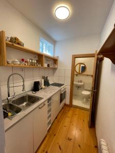 a kitchen with a sink and a toilet at Gasthaus Liam 1 in Bendorf-Sayn