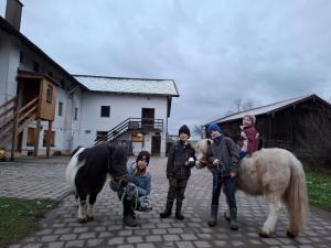 a group of children are standing next to horses at Mojer-Hof in Taching am See