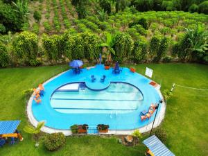 an overhead view of a swimming pool in a yard at Finca hotel los cocos in Montenegro