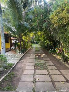 an empty path with palm trees and a sidewalk at Apartmento102 - Condomínio Brisa Mar in Cabo Frio