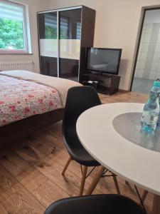 a bedroom with a bed and a table and a television at Srebrny Świerk in Wambierzyce