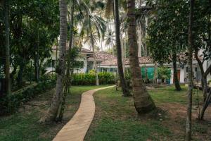 a path in front of a house with palm trees at Amara Villa in Galle