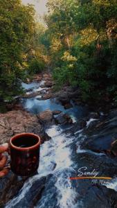 a cup of coffee sitting on top of a stream at Cottage by Ranmuduella in Labugama