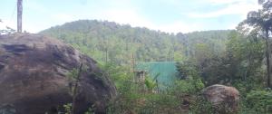 a green building in the middle of a mountain at Cottage by Ranmuduella in Labugama