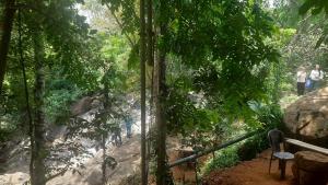 people walking down a path in the jungle at Cottage by Ranmuduella in Labugama