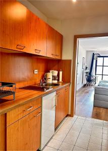 a kitchen with wooden cabinets and a counter top at Apartment in Obernzell - Gästekarte inklusive in Obernzell