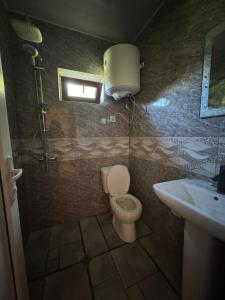 a bathroom with a toilet and a sink at Ivlita in Mestia