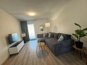 a living room with a gray couch and a tv at Zur Sonnenseite in Oberthal