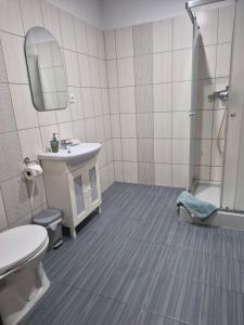 a bathroom with a toilet and a sink and a shower at Srebrny Świerk in Wambierzyce +5 photos