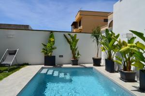 a swimming pool with plants next to a white wall at Carpentry in Uggiano la Chiesa