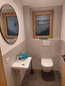 a bathroom with a sink and a toilet and a mirror at Appartement Schroll in Schwendau