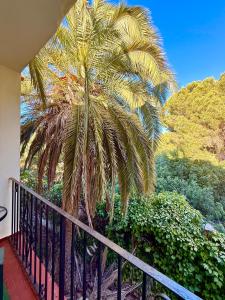 a palm tree sitting on top of a balcony at Hostal Los Arcos Vejer in Vejer de la Frontera