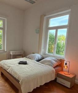 a bedroom with a bed and two windows at MartiniRoom Signature in Glauchau