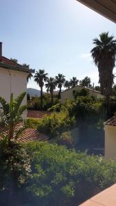 a view of a garden with palm trees and bushes at Maison MATIASMA avec Jacuzzi in Hyères