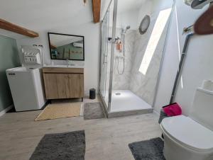 a bathroom with a shower and a toilet and a sink at Les Vieux Platanes Loft chaleureux in La Crau