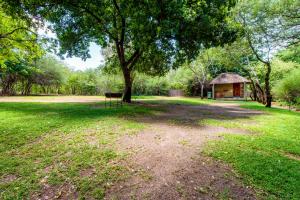 a large field with a tree and a building at Namushasha River Camping2Go in Kongola