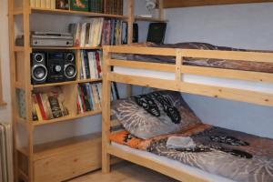 a bedroom with a bunk bed with a book shelf at Résidence les Papaillons in Enney +18 photos