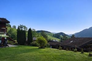 a view of the yard of a house with mountains in the background at Résidence les Papaillons in Enney