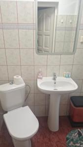 a bathroom with a toilet and a sink and a mirror at Hostel pod Modrzewiem in Świnoujście