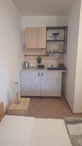 a kitchen with a counter and a sink in a room at Hostel pod Modrzewiem in Świnoujście