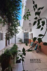 a courtyard of a hotel with a bench and plants at HOTEL COSTANERA - Mejor Ubicacion en FORMOSA in Formosa