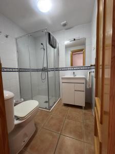 a bathroom with a shower and a toilet and a sink at Turquesa Zon & Strand Carihuela in Torremolinos +54 photos