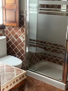 a bathroom with a shower and a toilet at Casa La Campa in Comillas +2 photos