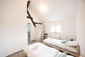 a white room with two beds and a window at Triple Evasion Terrasse in Zillisheim