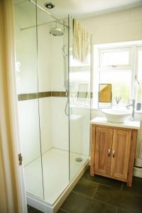 a bathroom with a glass shower and a sink at Ger Yr Afon in Saint Harmon