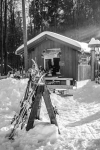 a pile of skis in the snow in front of a cabin at Apartment Huckelberg in Schmallenberg