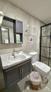 a bathroom with a sink and a toilet at WADI RUM REGENCY BUBBLE lUXURY in Wadi Rum +21 photos
