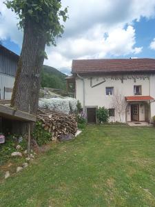 a white house with a tree in the yard at Chez JF et ISA in Bussang